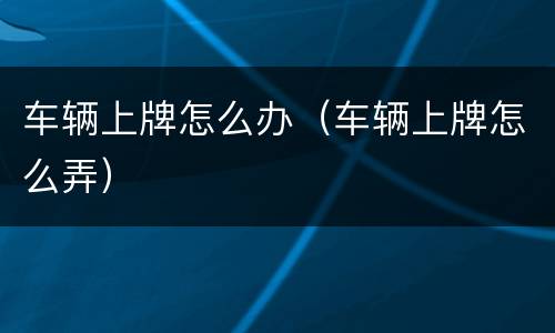 车辆上牌怎么办（车辆上牌怎么弄）