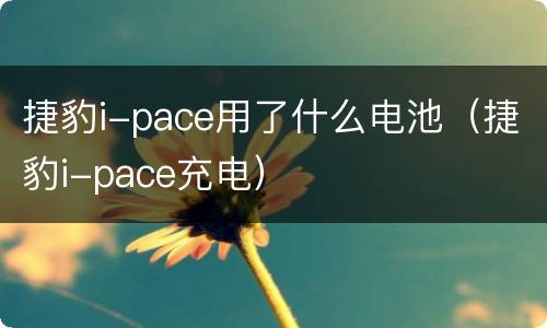 捷豹i-pace用了什么电池（捷豹i-pace充电）