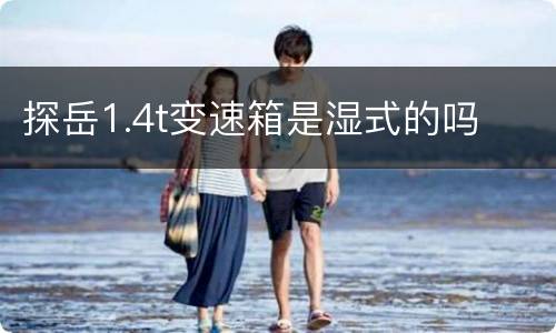 探岳1.4t变速箱是湿式的吗