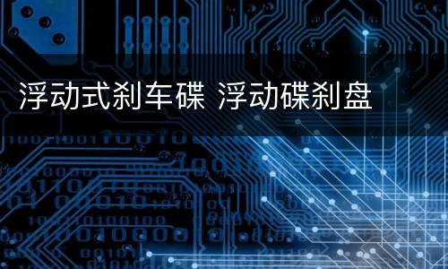 浮动式刹车碟 浮动碟刹盘