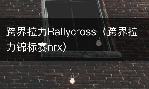 跨界拉力Rallycross（跨界拉力锦标赛nrx）