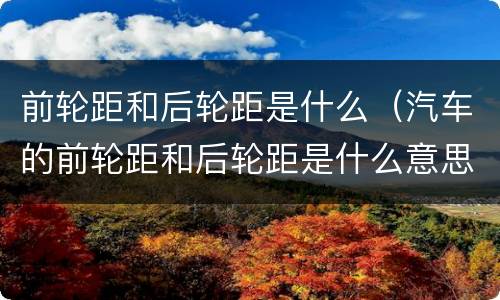 前轮距和后轮距是什么（汽车的前轮距和后轮距是什么意思）