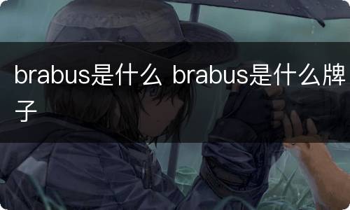 brabus是什么 brabus是什么牌子