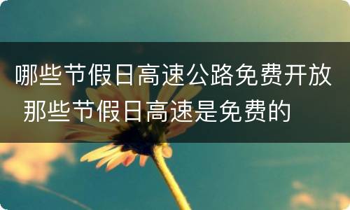 哪些节假日高速公路免费开放 那些节假日高速是免费的