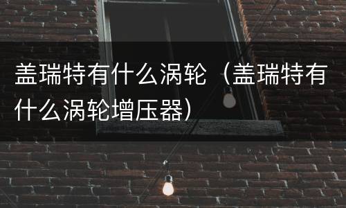 盖瑞特有什么涡轮（盖瑞特有什么涡轮增压器）