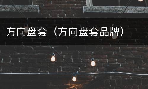 方向盘套（方向盘套品牌）