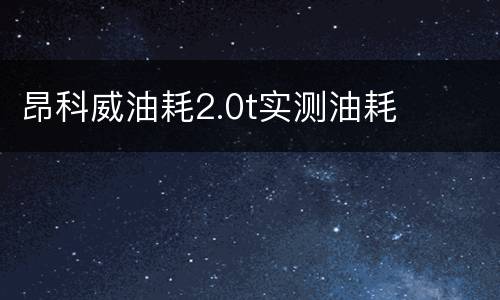 昂科威油耗2.0t实测油耗