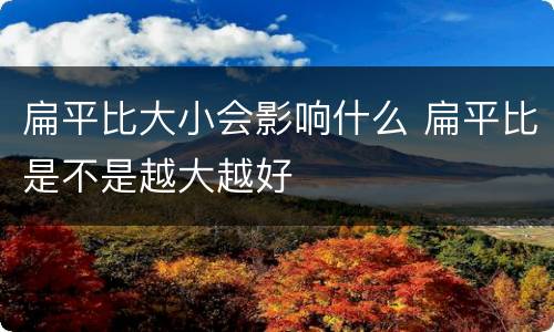 扁平比大小会影响什么 扁平比是不是越大越好