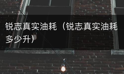 锐志真实油耗（锐志真实油耗多少升）