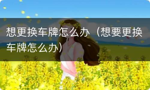 想更换车牌怎么办（想要更换车牌怎么办）