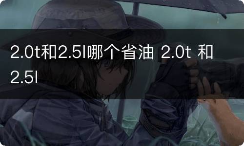 2.0t和2.5l哪个省油 2.0t 和2.5l