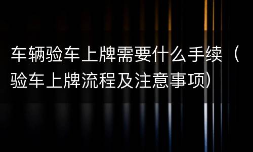 车辆验车上牌需要什么手续（验车上牌流程及注意事项）