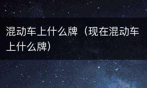 混动车上什么牌（现在混动车上什么牌）