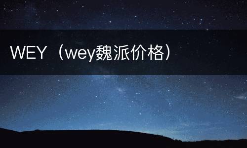 WEY（wey魏派价格）