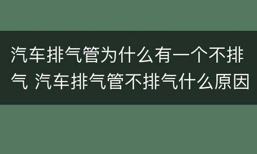 汽车排气管为什么有一个不排气 汽车排气管不排气什么原因