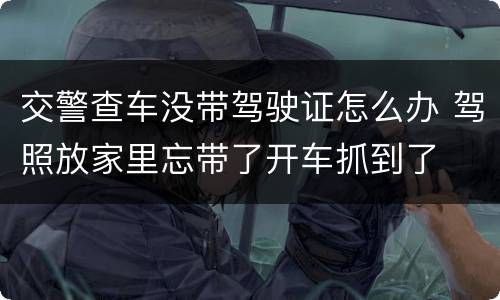 交警查车没带驾驶证怎么办 驾照放家里忘带了开车抓到了
