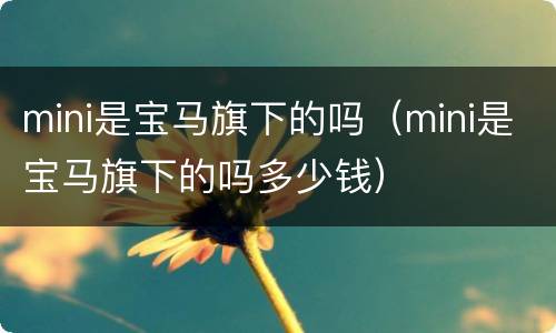 mini是宝马旗下的吗（mini是宝马旗下的吗多少钱）