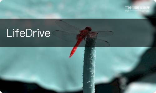 LifeDrive