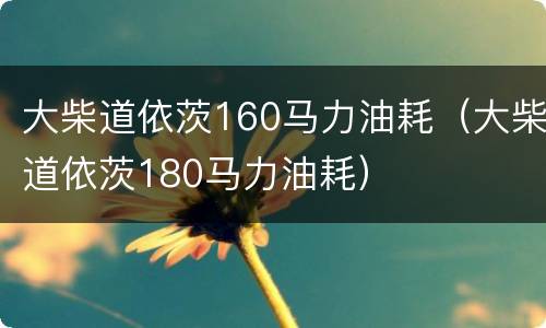 大柴道依茨160马力油耗（大柴道依茨180马力油耗）