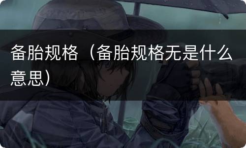 备胎规格（备胎规格无是什么意思）