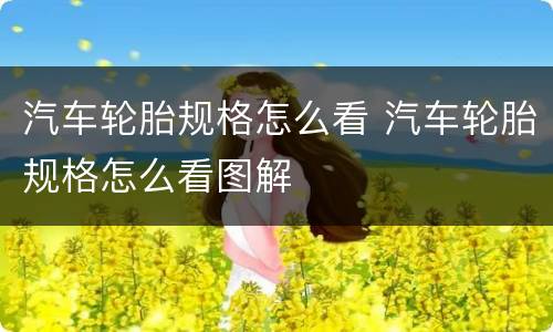 汽车轮胎规格怎么看 汽车轮胎规格怎么看图解