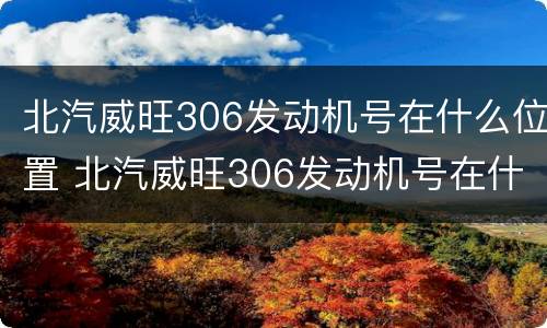 北汽威旺306发动机号在什么位置 北汽威旺306发动机号在什么位置图