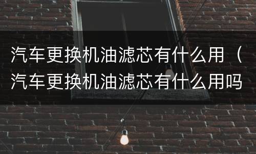 汽车更换机油滤芯有什么用（汽车更换机油滤芯有什么用吗）