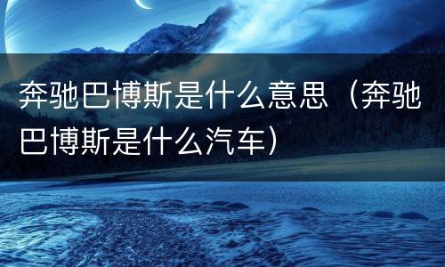 奔驰巴博斯是什么意思（奔驰巴博斯是什么汽车）