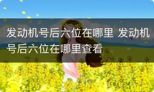 发动机号后六位在哪里 发动机号后六位在哪里查看