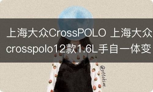 上海大众CrossPOLO 上海大众crosspolo12款1.6L手自一体变速箱油