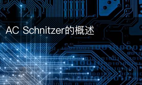 AC Schnitzer的概述