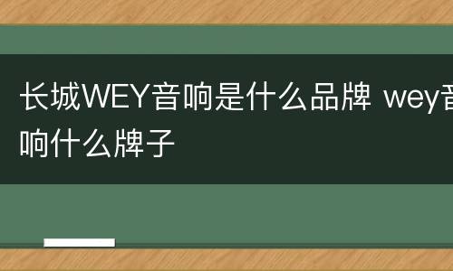 长城WEY音响是什么品牌 wey音响什么牌子