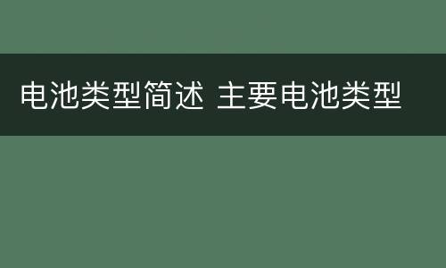 电池类型简述 主要电池类型
