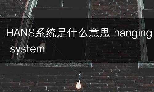 HANS系统是什么意思 hanging system