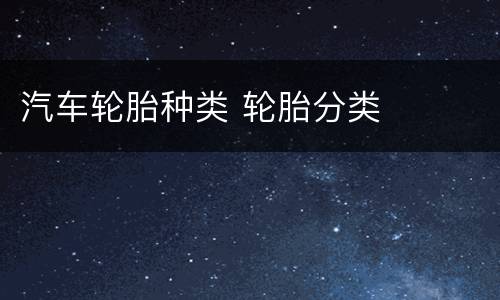 汽车轮胎种类 轮胎分类