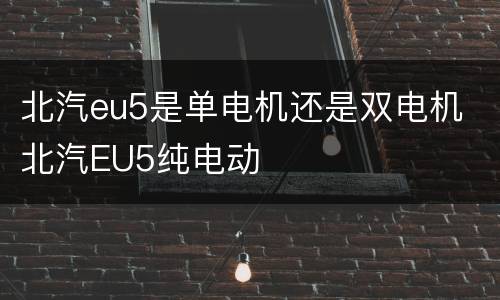 北汽eu5是单电机还是双电机 北汽EU5纯电动