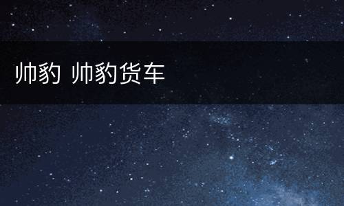 帅豹 帅豹货车