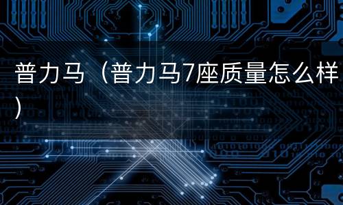 普力马（普力马7座质量怎么样）