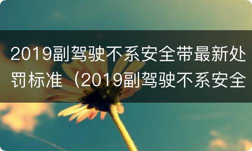 2019副驾驶不系安全带最新处罚标准（2019副驾驶不系安全带最新处罚标准图片）