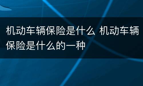 机动车辆保险是什么 机动车辆保险是什么的一种