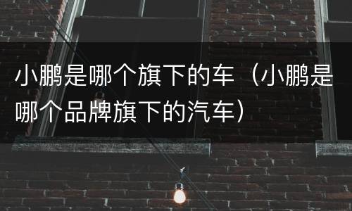小鹏是哪个旗下的车（小鹏是哪个品牌旗下的汽车）
