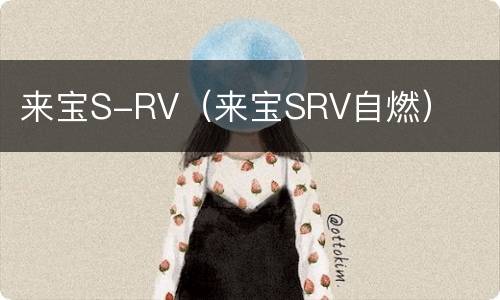 来宝S-RV（来宝SRV自燃）