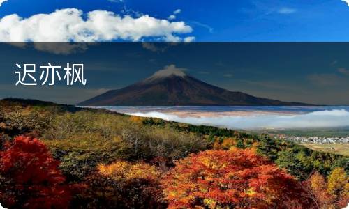 迟亦枫