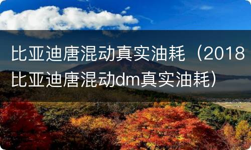 比亚迪唐混动真实油耗（2018比亚迪唐混动dm真实油耗）