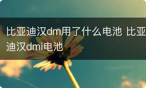 比亚迪汉dm用了什么电池 比亚迪汉dmi电池