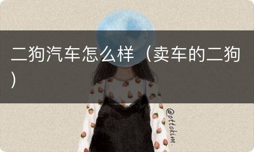 二狗汽车怎么样（卖车的二狗）