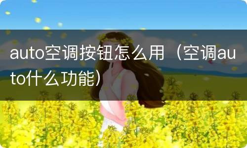 auto空调按钮怎么用（空调auto什么功能）
