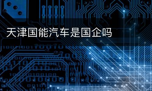 天津国能汽车是国企吗
