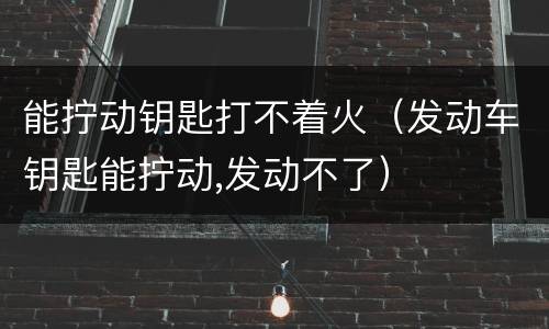 能拧动钥匙打不着火（发动车钥匙能拧动,发动不了）