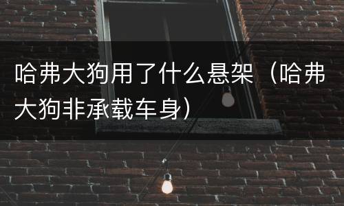 哈弗大狗用了什么悬架（哈弗大狗非承载车身）